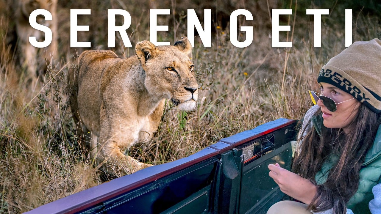 Is a Serengeti Safari Worth It? (Honest Opinion)
