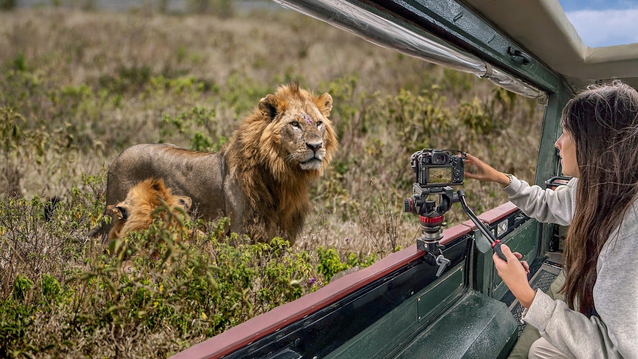 Kenya’s Most Underrated Safari Destinations (Lake Nakuru & Naivasha)