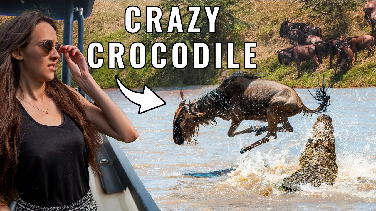 Crazy Great Migration Mara River Crossing in Serengeti - Tanzania Safari
