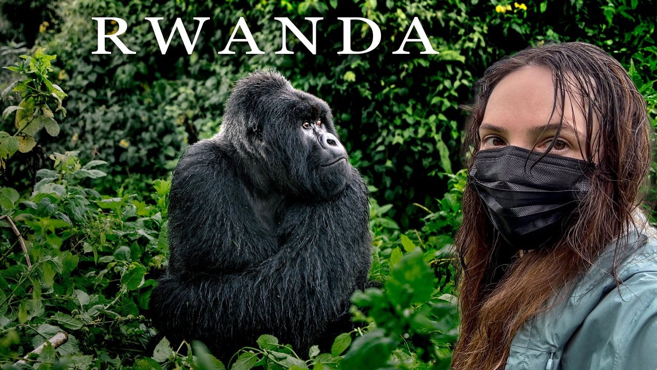 Inside Rwanda 🇷🇼 1 Week Safari (Gorilla & Chimpanzee Trekking)