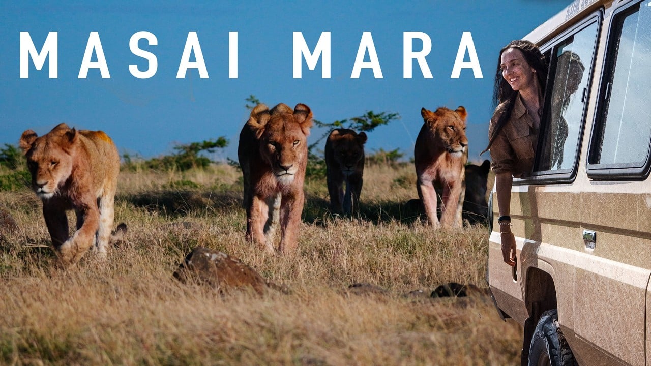 This Kenya Safari Will Blow Your Mind (Masai Mara)