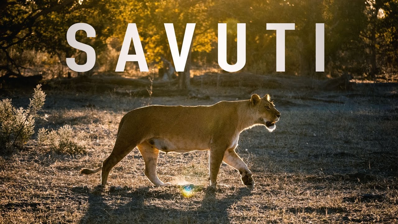 Unbelievable Botswana Safari in Chobe National Park (Savuti)