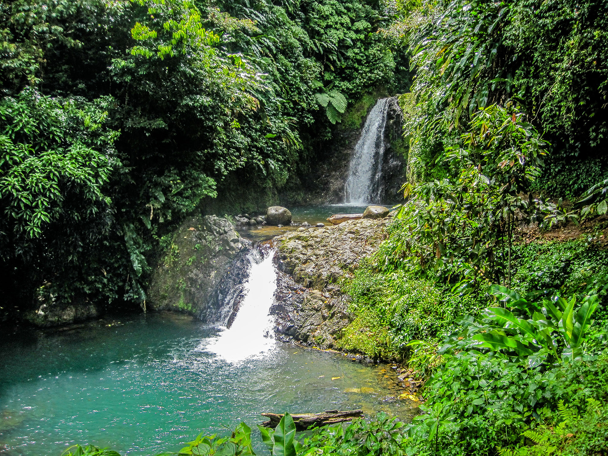 Waterfalls in the Jungle in Grenada, The Caribbean