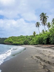 Black sand beach with jungle behind in St Vincent, The Caribbean