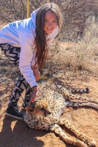 Ella with Cheetah at Naankuse Wildlife Sanctuary Namibia