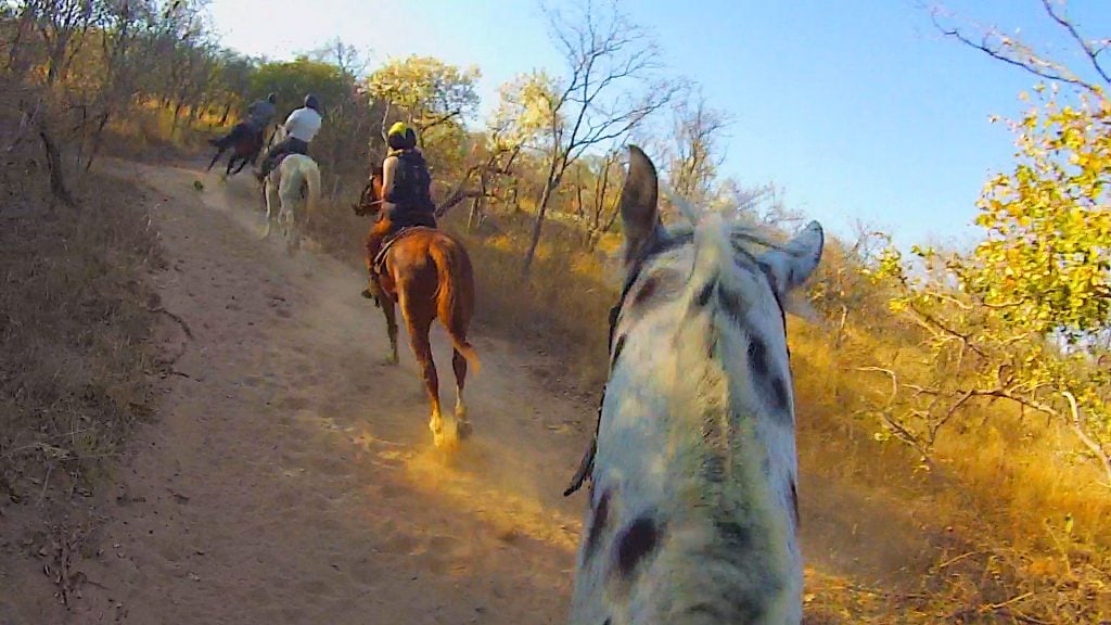 Horseback Safari Ant's Hill & Nest in South Africa