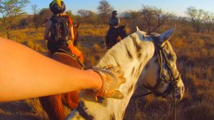 Horseback Safari Ant's Hill & Nest in South Africa