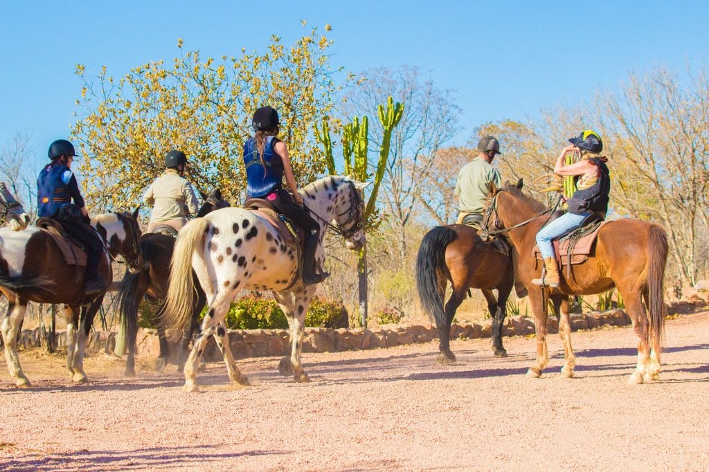 Horseback Safari Ant's Hill & Nest in South Africa