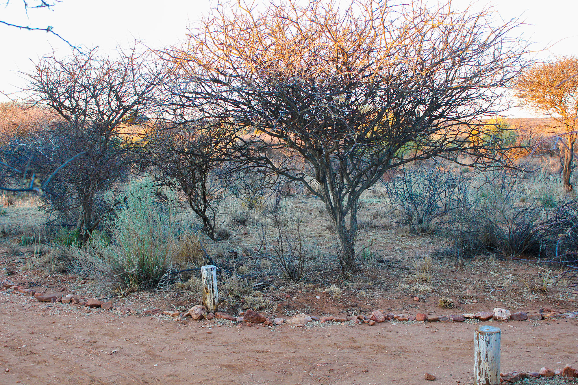 Naankuse Wildlife Sanctuary Namibia
