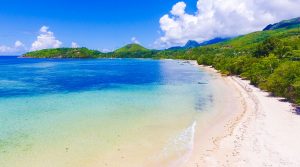 Drone view of beach, jungle and ocean on Mahe island, Seychelles
