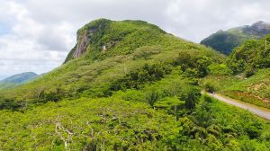 Drone view of mountains and jungle in Morne seychellois national park, north Mahe, Seychelles