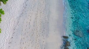 Drone view of Takamaka beach, seunset and ocean on Mahe island, Seychelles