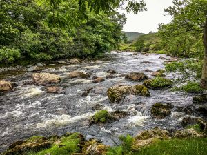 River and forest in The Lake District