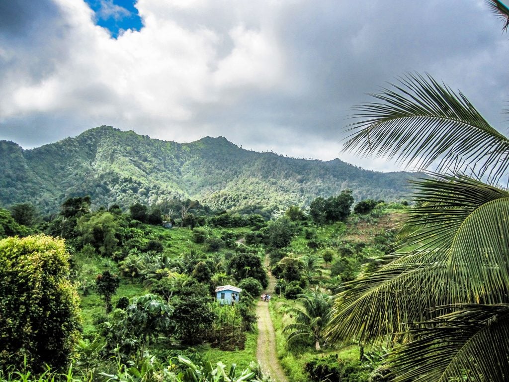 House in the middle of the jungle with mountain behind in Grenada, The Caribbean