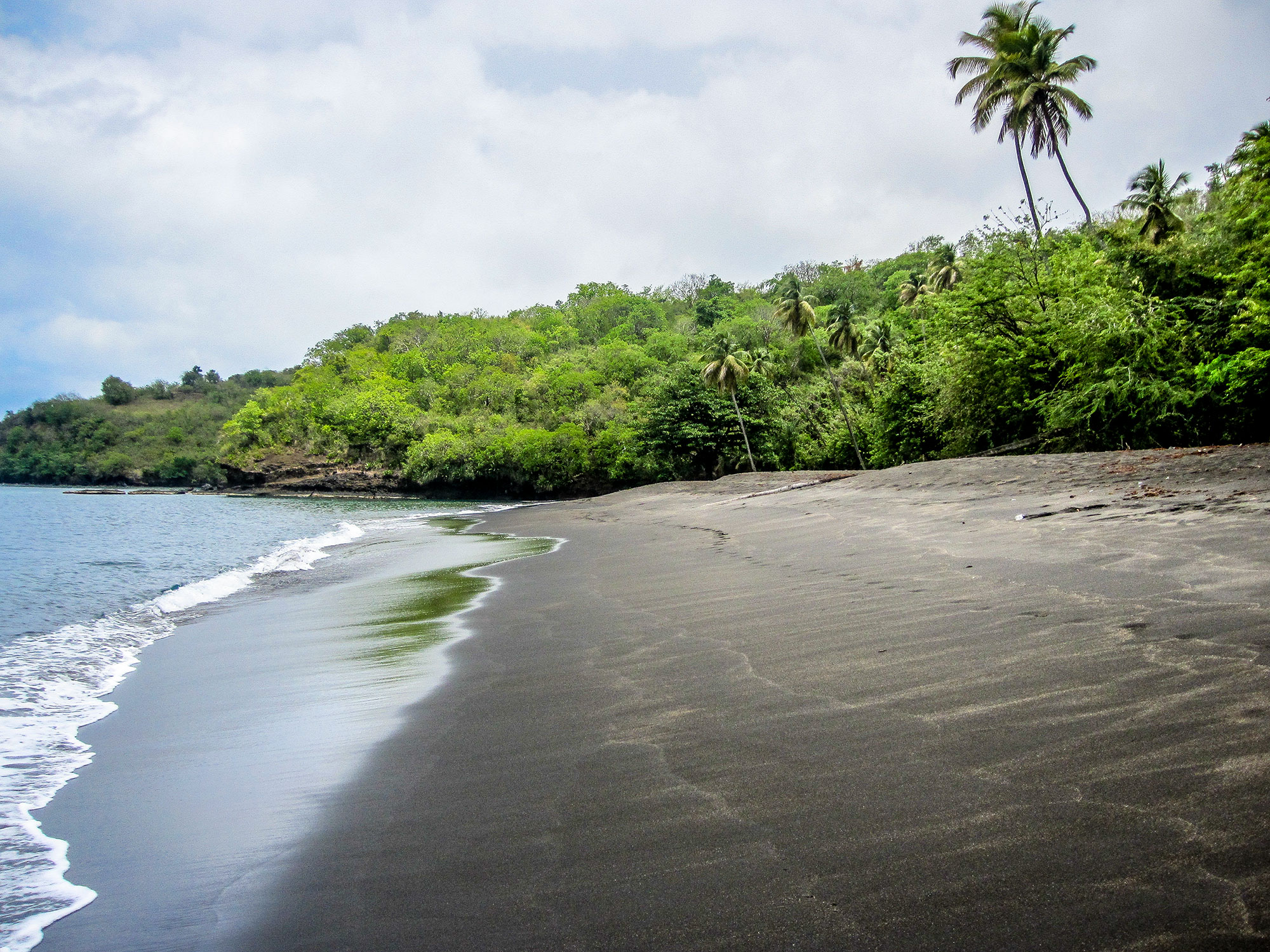 Black sand beach with jungle behind in St Vincent, The Caribbean