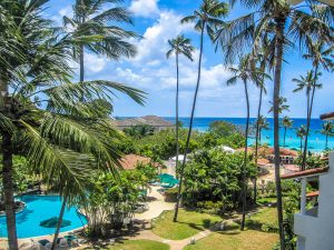 Palm trees with ocean in the background at Glitter Bay resort, Barbados