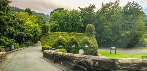 Tea room covered in ivy in Snowdonia, Wales