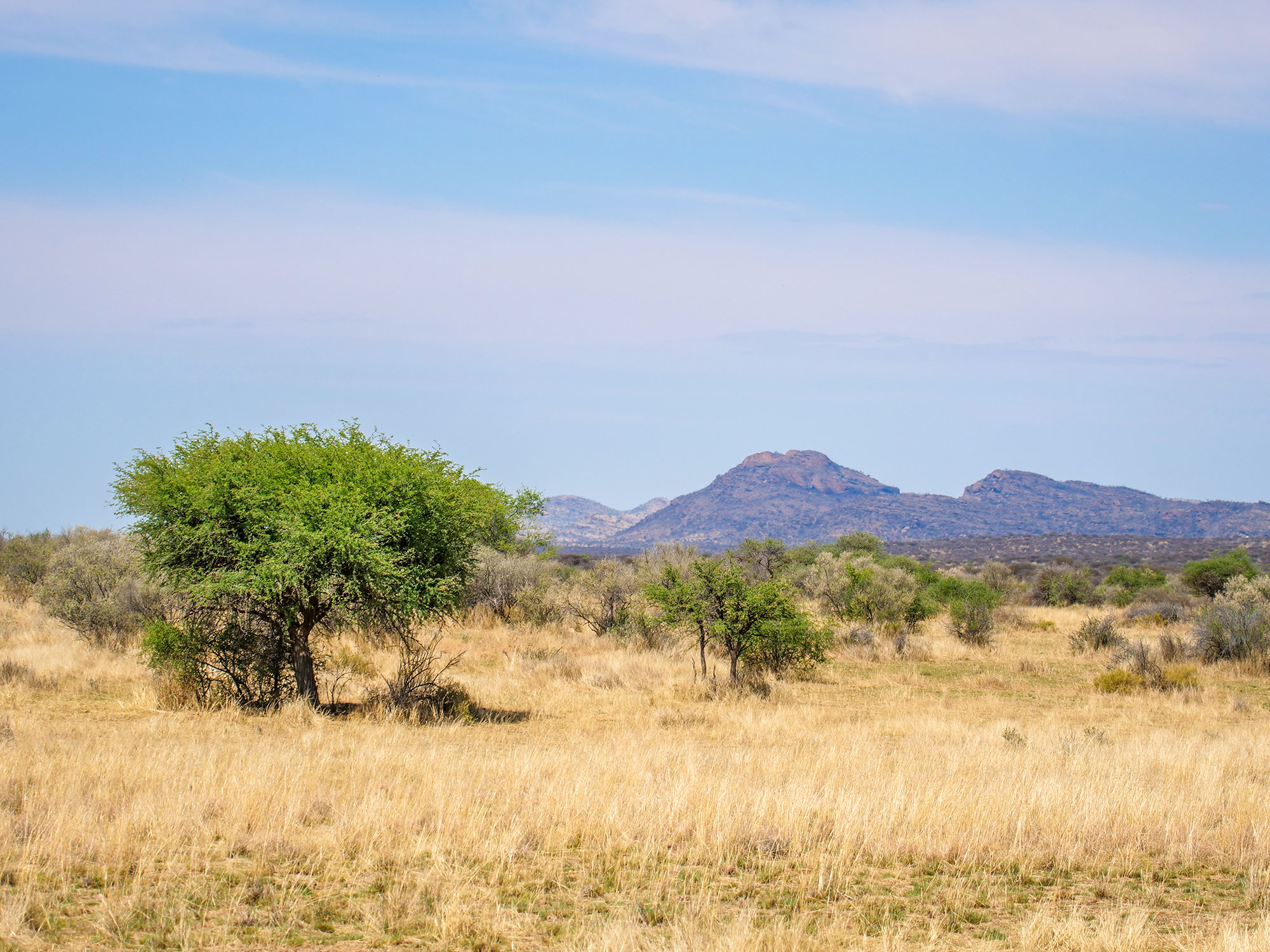 Views of the savannah from N/a’an ku sê (Naankuse) Wildlife Sanctuary in Namibia, Africa