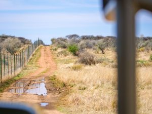 Views of the savannah from N/a&rsquo;an ku s&ecirc; (Naankuse) Wildlife Sanctuary in Namibia, Africa