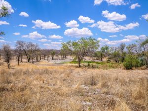 Onguma Reserve near Etosha National Park in Namibia, Africa