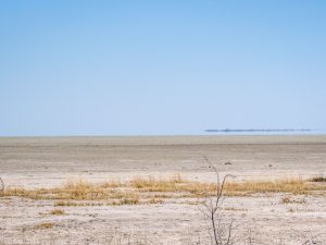 Etosha salt pan Etosha National Park, Namibia, Africa