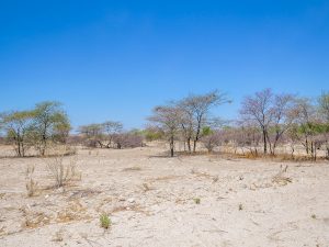 Driving through desert and savannah in Damaraland in Namibia, Africa