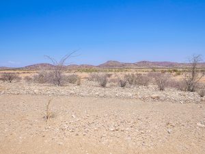 Driving through desert and savannah in Damaraland in Namibia, Africa