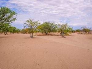 Madisa desert campsite in Damaraland in Namibia, Africa