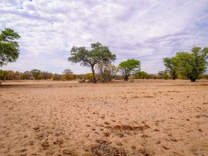 Madisa desert campsite in Damaraland in Namibia, Africa