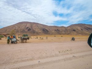 Donkey cart in the desert in Damaraland, Namibia, Africa