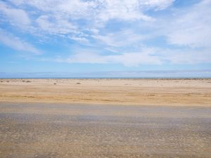 Self-drive through the desert in the Skeleton Coast, Namibia, Africa