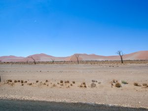 Sand dunes in Sossusvlei, Namib Desert in Namibia, Africa