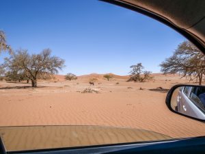 Sand dunes and oryx in Sossusvlei, Namib Desert in Namibia, Africa