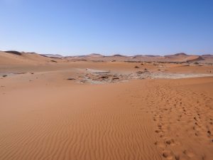 Sand dunes in Sossusvlei, Namib Desert in Namibia, Africa