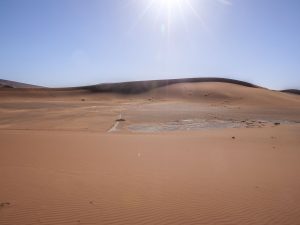 Sand dunes in Sossusvlei, Namib Desert in Namibia, Africa