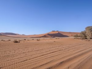 Sand dunes in Sossusvlei, Namib Desert in Namibia, Africa