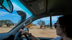 Ella on self-drive through the desert to Hentiesbaai in the Skeleton Coast, Namibia, Africa