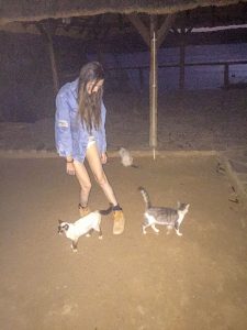 Ella with cats at Lake Oanob Resort, Rehoboth, Namibia, Africa