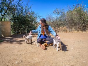 Ella with cats at Lake Oanob Resort, Rehoboth, Namibia, Africa