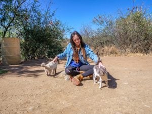 Ella with cats at Lake Oanob Resort, Rehoboth, Namibia, Africa