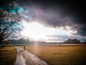 Ella in Tatton Park, UK