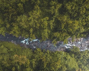 Drone view of rainforest in Rosalie, Dominica
