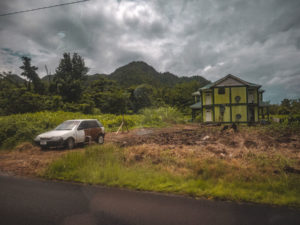 Driving through rainforest in Dominica