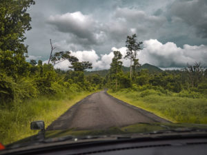 Driving through rainforest in Dominica