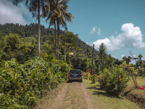 Car Driving through Forests in Dominica, The Caribbean