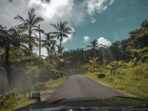 Driving through Forests in Dominica, The Caribbean