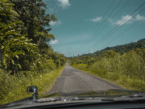 Driving through Forests in Dominica, The Caribbean