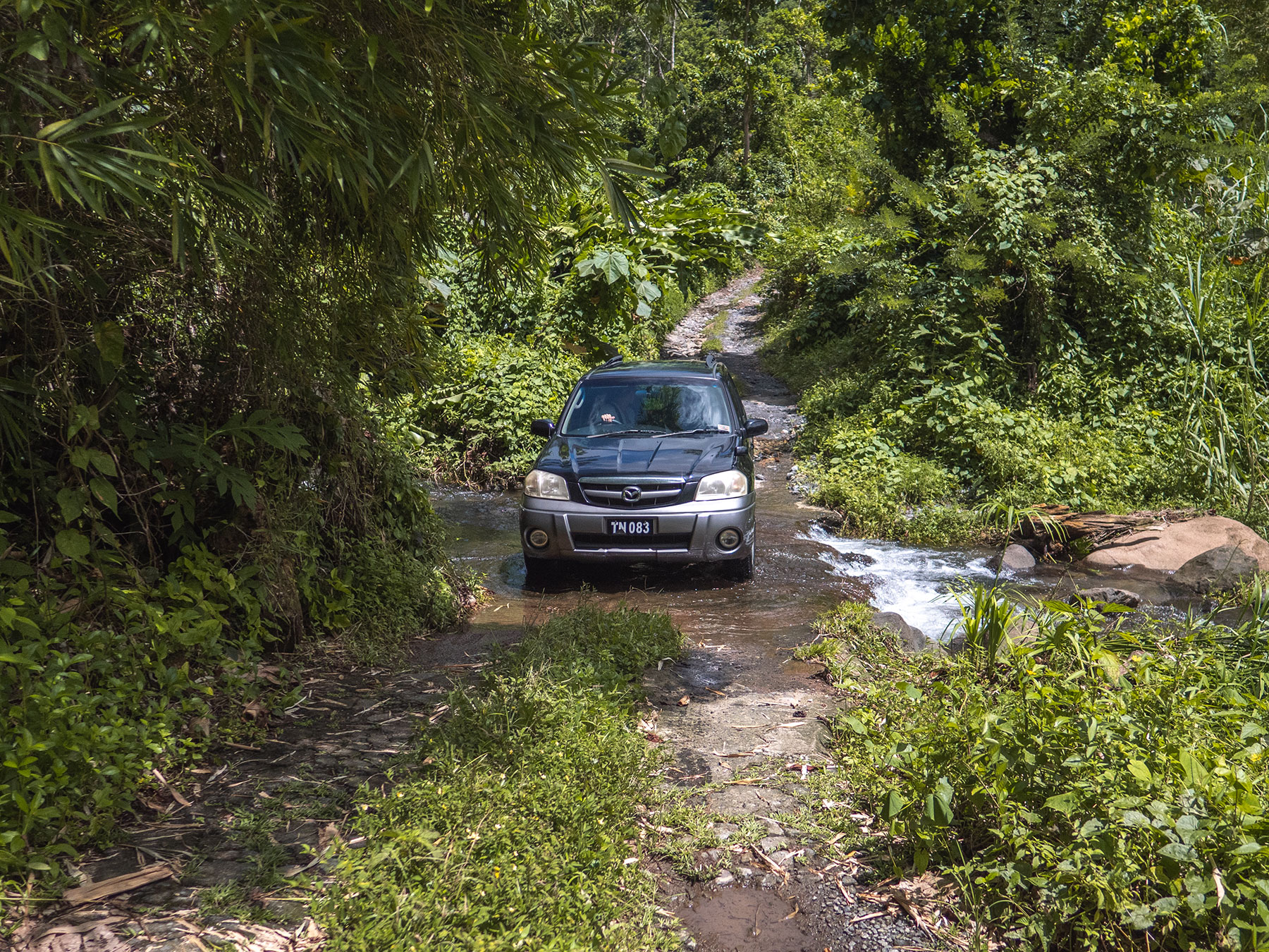 Driving through rainforest in Rosalie, Dominica