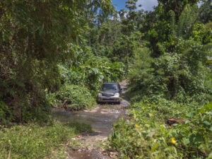 Driving through rainforest in Rosalie, Dominica