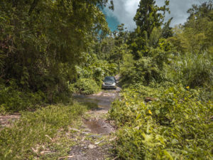 Driving through rainforest in Rosalie, Dominica